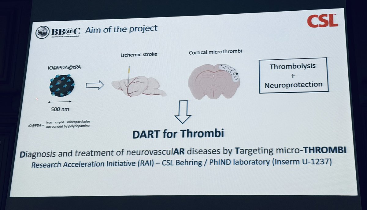 S_MartinezDeLiz's tweet photo. ...&amp; we continue with @Audrey_picot's comprehensive talk about the new #theranostic tool to diagnose and treat microthrombi after #stroke 🧠🌑💉🔥🥰#TheFutureofMolecularMR https://t.co/9zzzvACodT