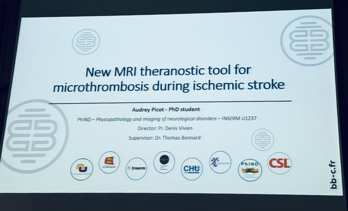 S_MartinezDeLiz's tweet photo. ...&amp; we continue with @Audrey_picot's comprehensive talk about the new #theranostic tool to diagnose and treat microthrombi after #stroke 🧠🌑💉🔥🥰#TheFutureofMolecularMR https://t.co/9zzzvACodT