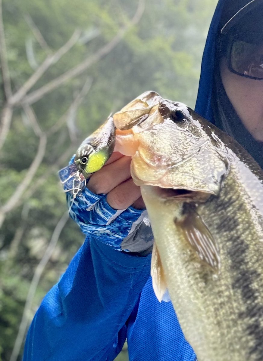 kazuhiroch's tweet photo. スワッガーでチータータイプRとLC1.5
カバーは沈み蟲
雨後の三島湖は濁りで楽しい https://t.co/XLzrB1IfYq