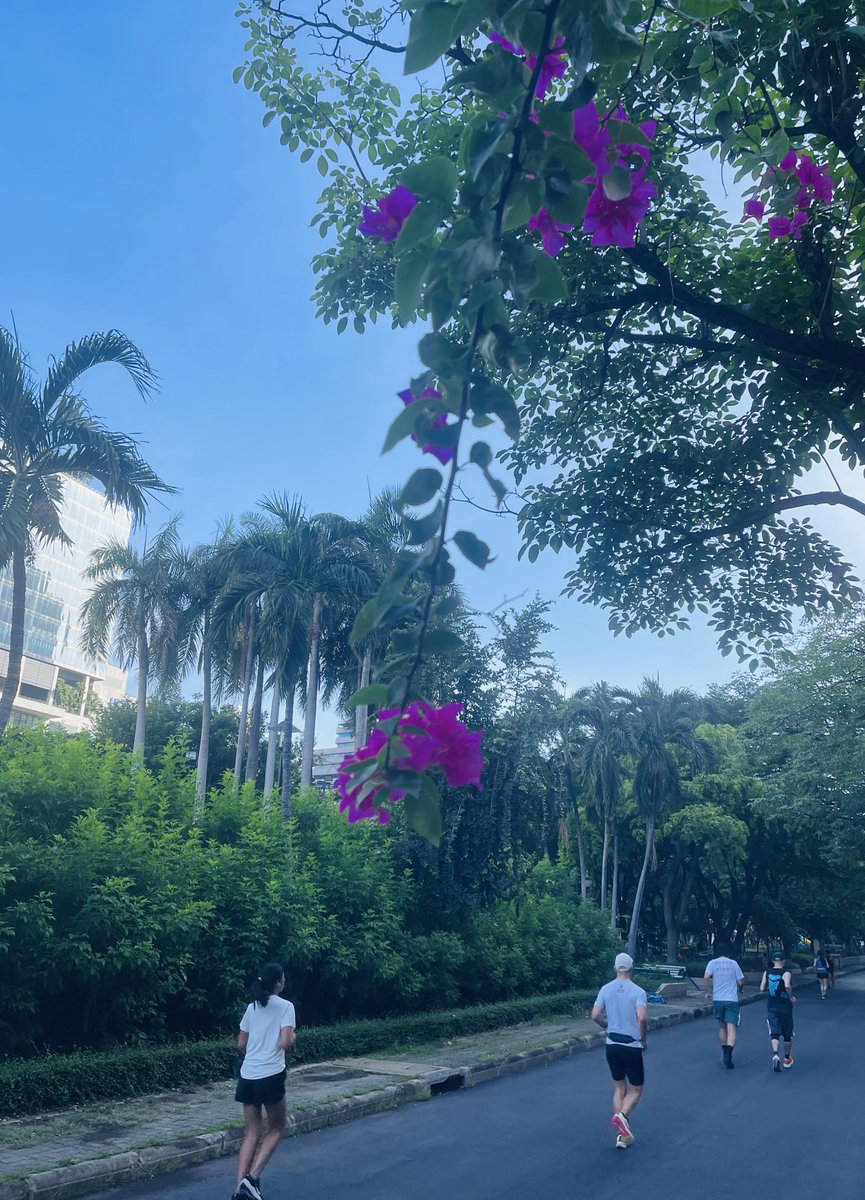 毎朝、時間を気にせずに散歩できるこの幸せ。FIREしてタイに移住して、本当に良かったと感じる。ゆったりとした生活リズムと熱帯の景色に囲まれて、心からリラックスできる毎日だ。