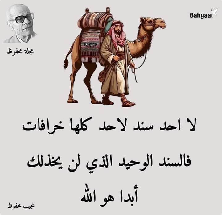 منيراليافعي (@lyfy256561) on Twitter photo 