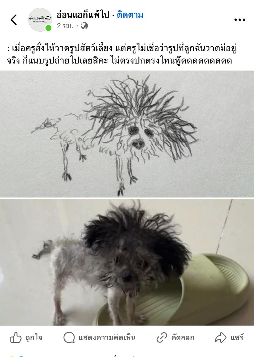 น้อนนนน🥹🤣