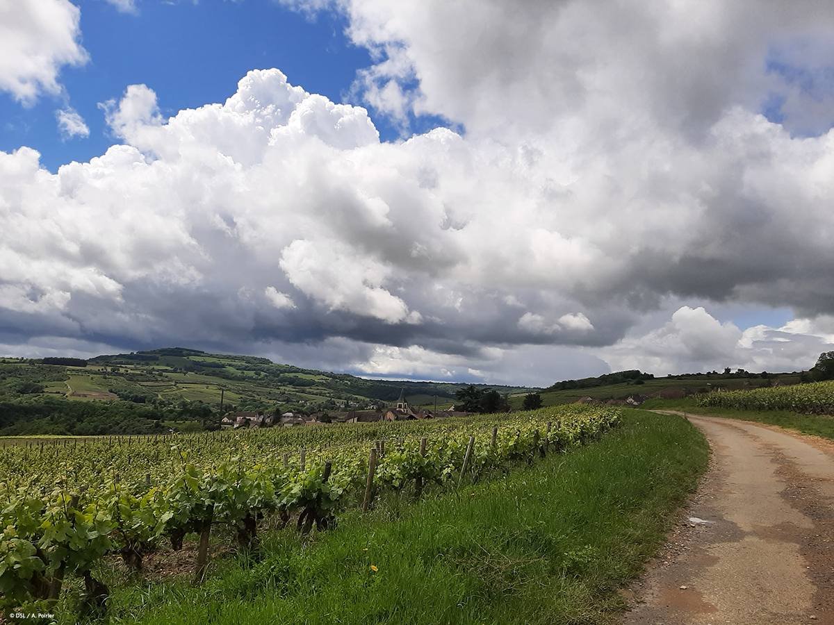 Saône-et-Loire tweet media