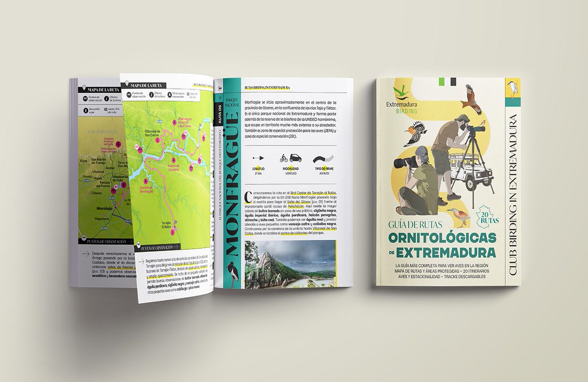 BIRDING IN EXTREMADURA tweet media