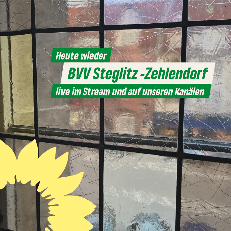 Ja, wir wissen, dass heute Fußball ist. Aber die BVV beginnt schon um 17 Uhr und Ihr könnt noch eine ganze Stunde zuhören, wenn wir über relevante Themen im Bezirk sprechen. Den Livestream findet Ihr hier : berlin.de/ba-steglitz-ze…