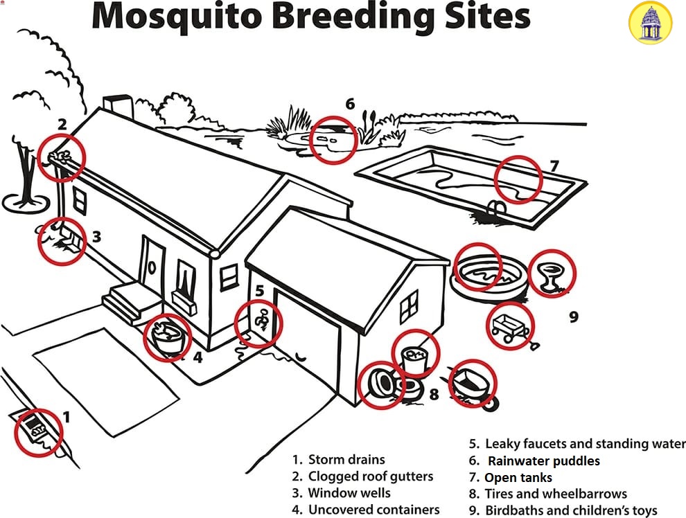 Suralkar Vikas Kishor, IAS (@bbmpsplhealth) on Twitter photo Be vigilant.
Mosquito Breeding Sites:
Locate them ➡️ Eliminate them🚯
#BBMPHealth <a href="/BBMPAdmn/">Tushar Giri Nath, IAS</a> <a href="/BBMPCOMM/">Maheshwar Rao.M, IAS</a> <a href="/CMofKarnataka/">CM of Karnataka</a> <a href="/DKShivakumar/">DK Shivakumar</a> <a href="/dineshgrao/">Dinesh Gundu Rao/ದಿನೇಶ್ ಗುಂಡೂರಾವ್</a> <a href="/DHFWKA/">Karnataka Health Department</a> <a href="/MoHFW_INDIA/">Ministry of Health</a> Be vigilant.
Mosquito Breeding Sites:
Locate them ➡️ Eliminate them🚯
#BBMPHealth <a href="/BBMPAdmn/">Tushar Giri Nath, IAS</a> <a href="/BBMPCOMM/">Maheshwar Rao.M, IAS</a> <a href="/CMofKarnataka/">CM of Karnataka</a> <a href="/DKShivakumar/">DK Shivakumar</a> <a href="/dineshgrao/">Dinesh Gundu Rao/ದಿನೇಶ್ ಗುಂಡೂರಾವ್</a> <a href="/DHFWKA/">Karnataka Health Department</a> <a href="/MoHFW_INDIA/">Ministry of Health</a>
