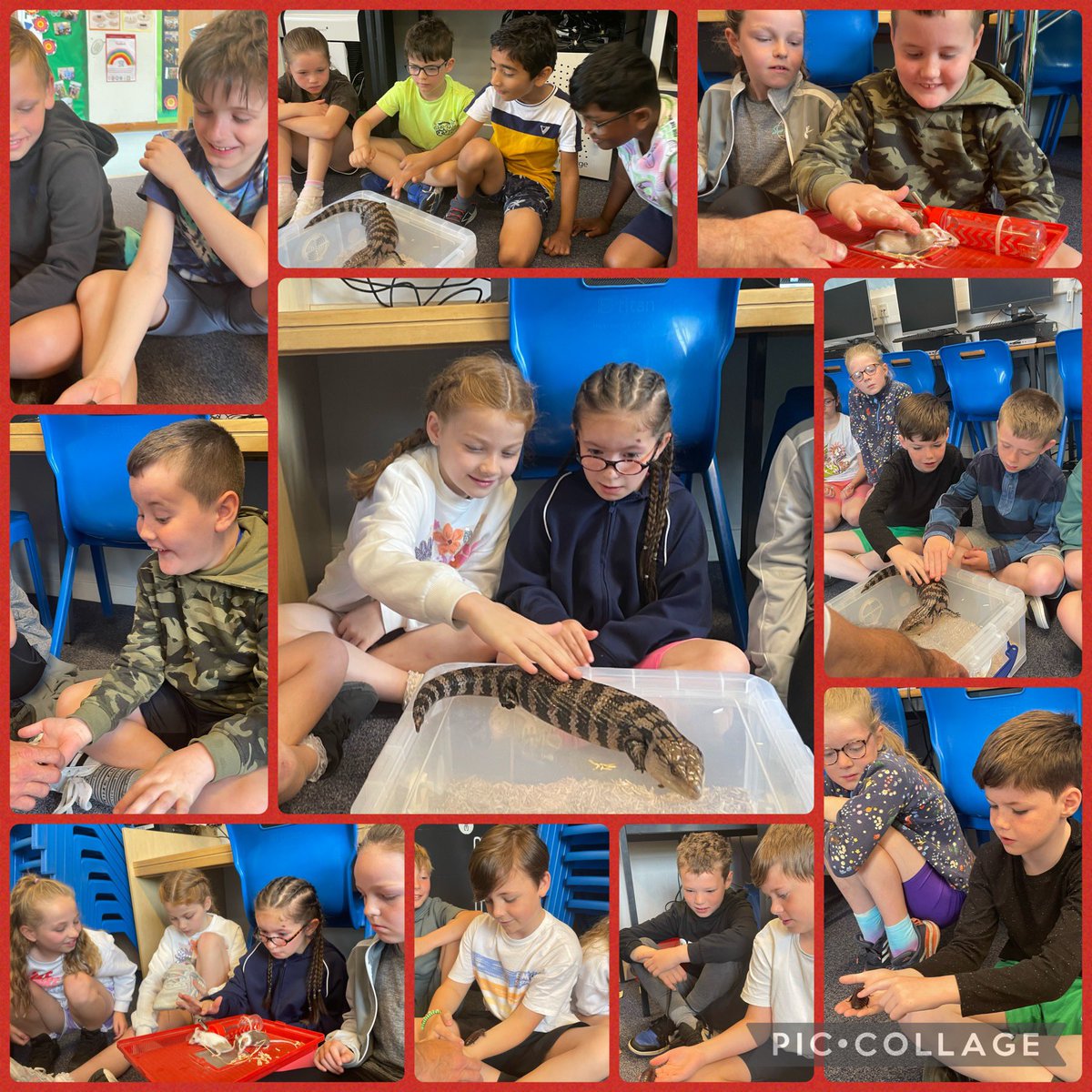 StJosephsERC's tweet photo. Primary 4 loved meeting lots of animals with the Animal Man during #wildweek! https://t.co/H7BwpGtLmM