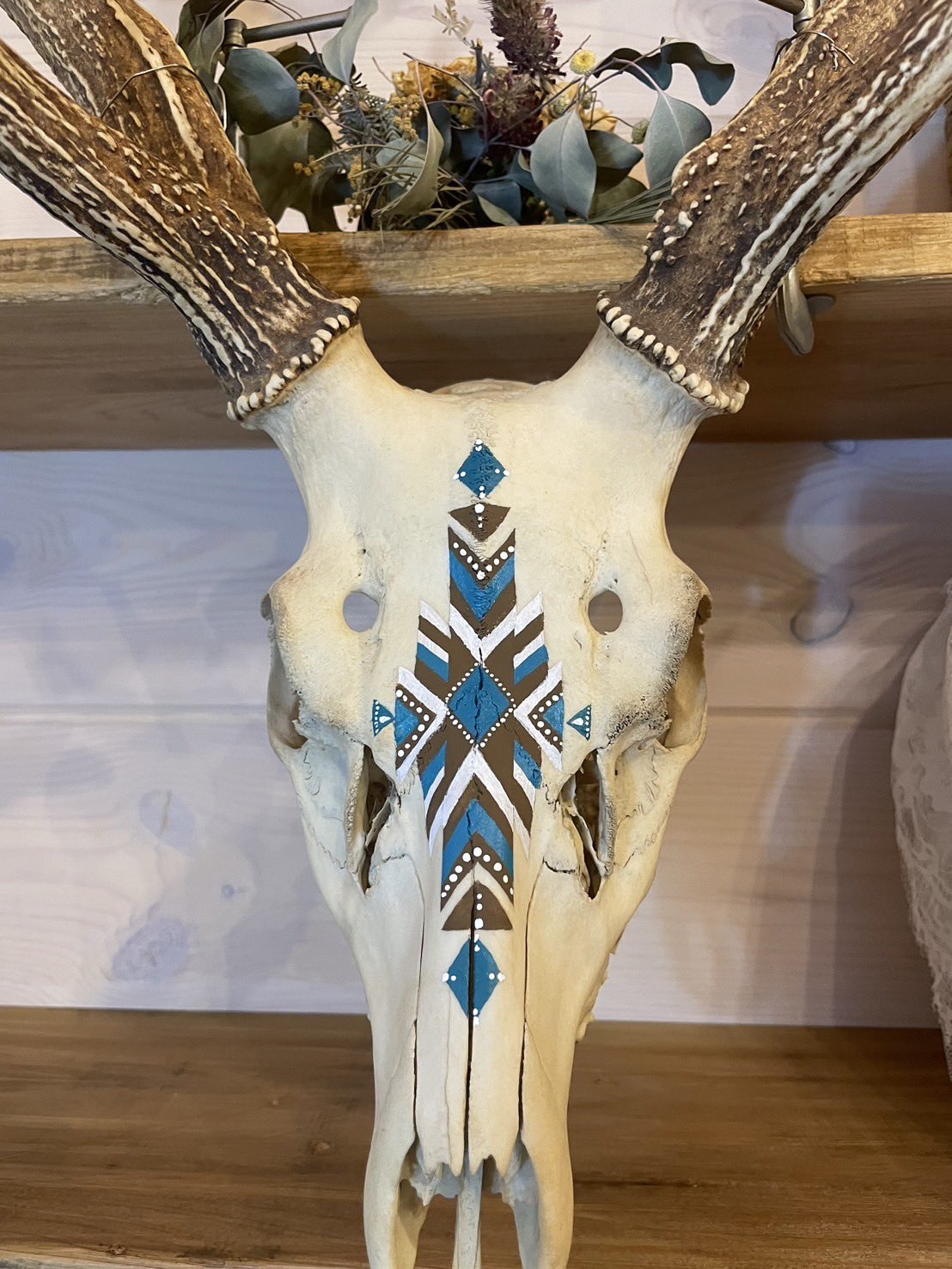 エゾシカの頭骨 エゾシカの頭骨 雄成体 鹿の頭蓋骨 北海道｜Yahoo!フリマ（旧