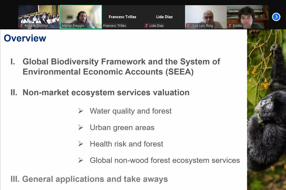 The XII Doctoral Workshop has already ended! We had insightful lectures by professors Dilip Mookherjee (Boston University) and Matías Piaggio (World Bank), as well as a couple of days full of presentations and enriching debates by our doctoral students.