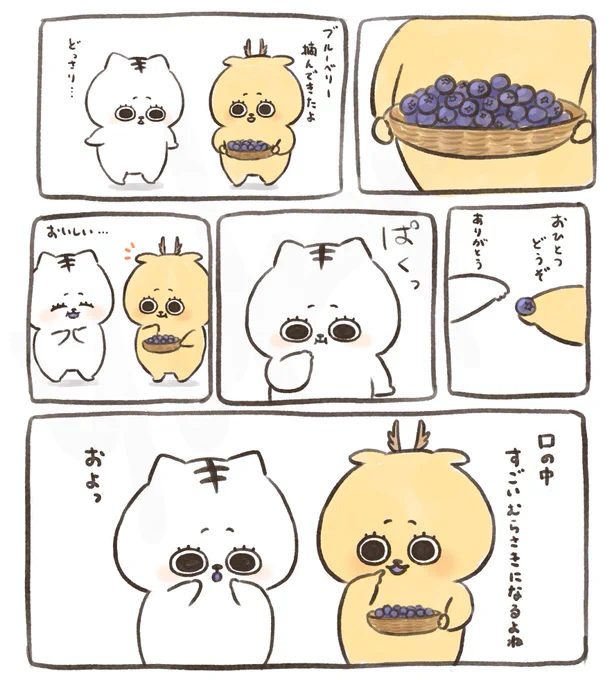 ブルーベリー 