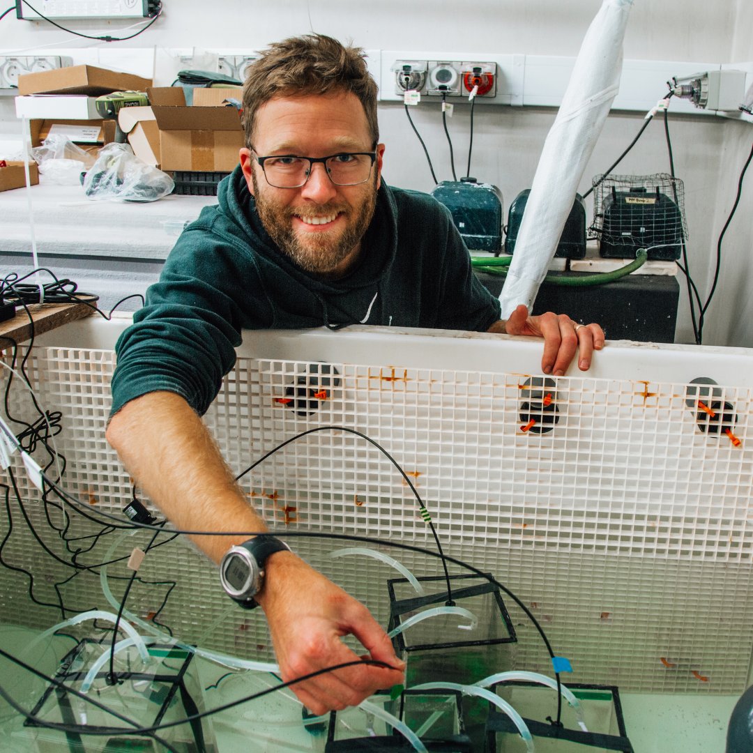 ConvexSeascape's tweet photo. Meet Dr. Adam Porter (@ap3489) 👋

In the first of a new series where we sit down with the scientists behind the Convex Seascape Survey, we chatted about Adam’s career to date and what he’s working on at the moment ⬇️

Q: What is the focus of your work?
A: Based in Exeter, UK, my work focuses on the impact of human disturbances on seafloor animals.

Q: How did you get into marine biology?
A: My journey began with researching coral reefs in Saudi Arabia and led to a PhD on microplastics in marine ecosystems. My research has won numerous awards and influenced global plastic pollution legislation.

Q: What are you working on as part of the Convex Seascape Survey?
A: I’m exploring how seafloor animals contribute to carbon cycling and climate change mitigation.

Q: What are your passions?
A: I’m very passionate about innovative solutions to environmental issues, I also enjoy SCUBA diving, photography, and sharing my research adventures and scientific knowledge with diverse audiences.

#Ocean #MarineScience #ConvexSeascapeSurvey

@Bluemarinef @ExeterMarine @ConvexIn