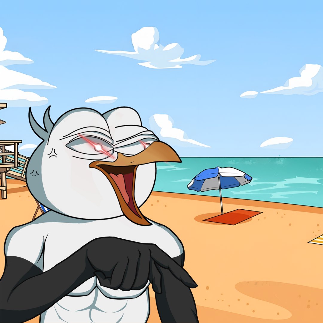$STEVE the SEAGULL tweet media