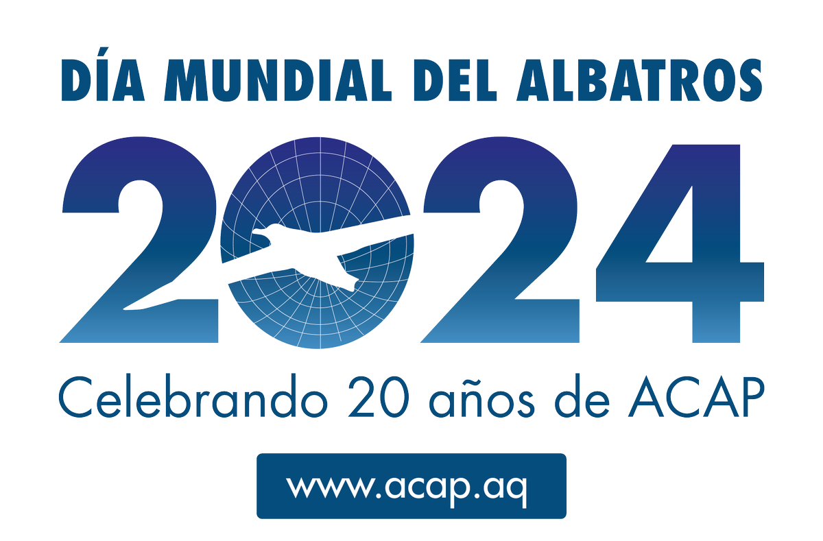 Hoy es el #DiaMundialdelAlbatros #WorldAlbatrossDay #WAD2024. Este día fue establecido por el Acuerdo sobre la Conservación de Albatros y Petreles (#ACAP <a href="/Acap_birds/">ACAP</a>) para crear conciencia sobre estas aves en todo el mundo y resaltar su actual crisis de conservación.
1/3