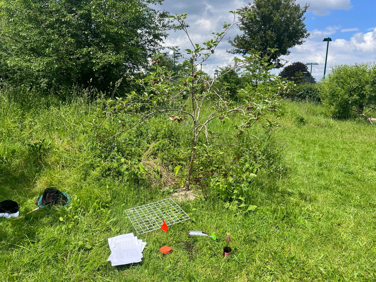 Lucy Houliston tweet media