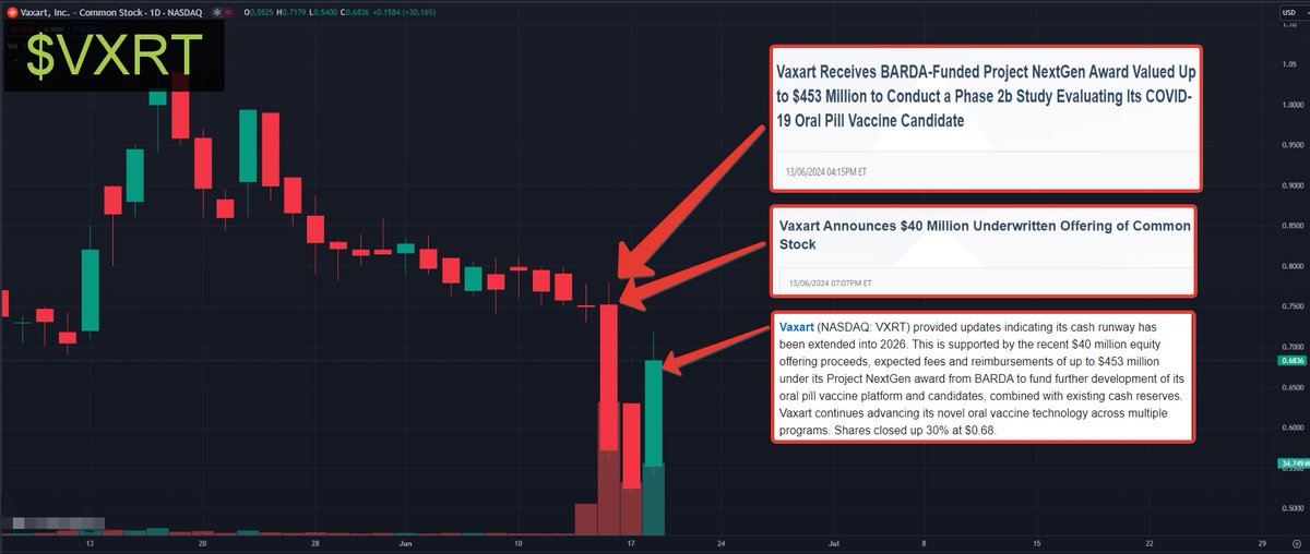 Dogtor🎰📈 tweet media
