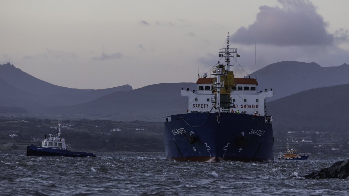 Carlingford Lough tweet media