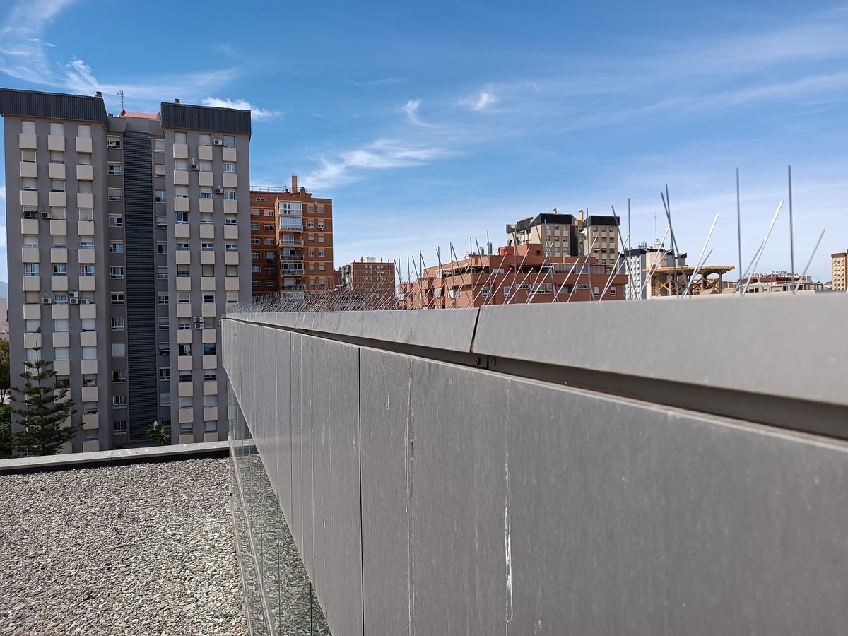 Bioimsa's tweet photo. Protege tu hogar y negocio de las aves con nuestros sistemas antiaves. Ofrecemos soluciones efectivas para mantener a las aves alejadas. Nuestro equipo especializado se encarga de instalación y mantenimiento para poder disfrutar de un espacio limpio-seguro.Contáctanos 951 770 737 https://t.co/Lh2VEduQLH