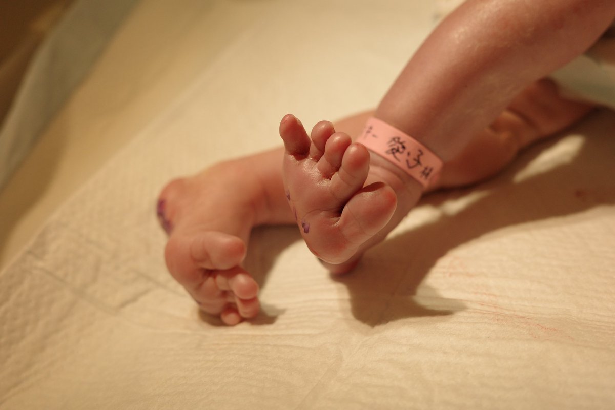 zack baranski ザックバランスキー tweet media