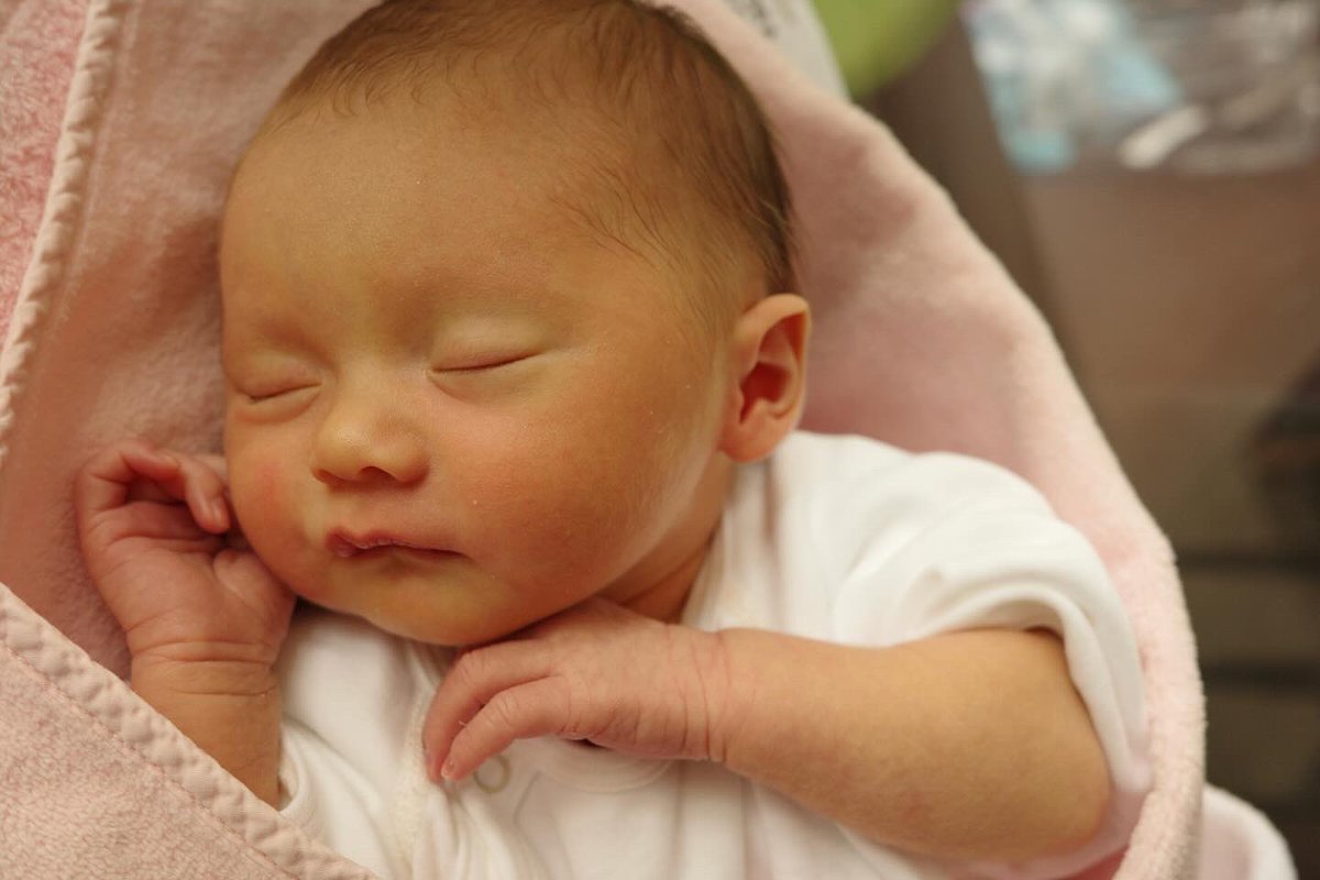 zack baranski ザックバランスキー tweet media