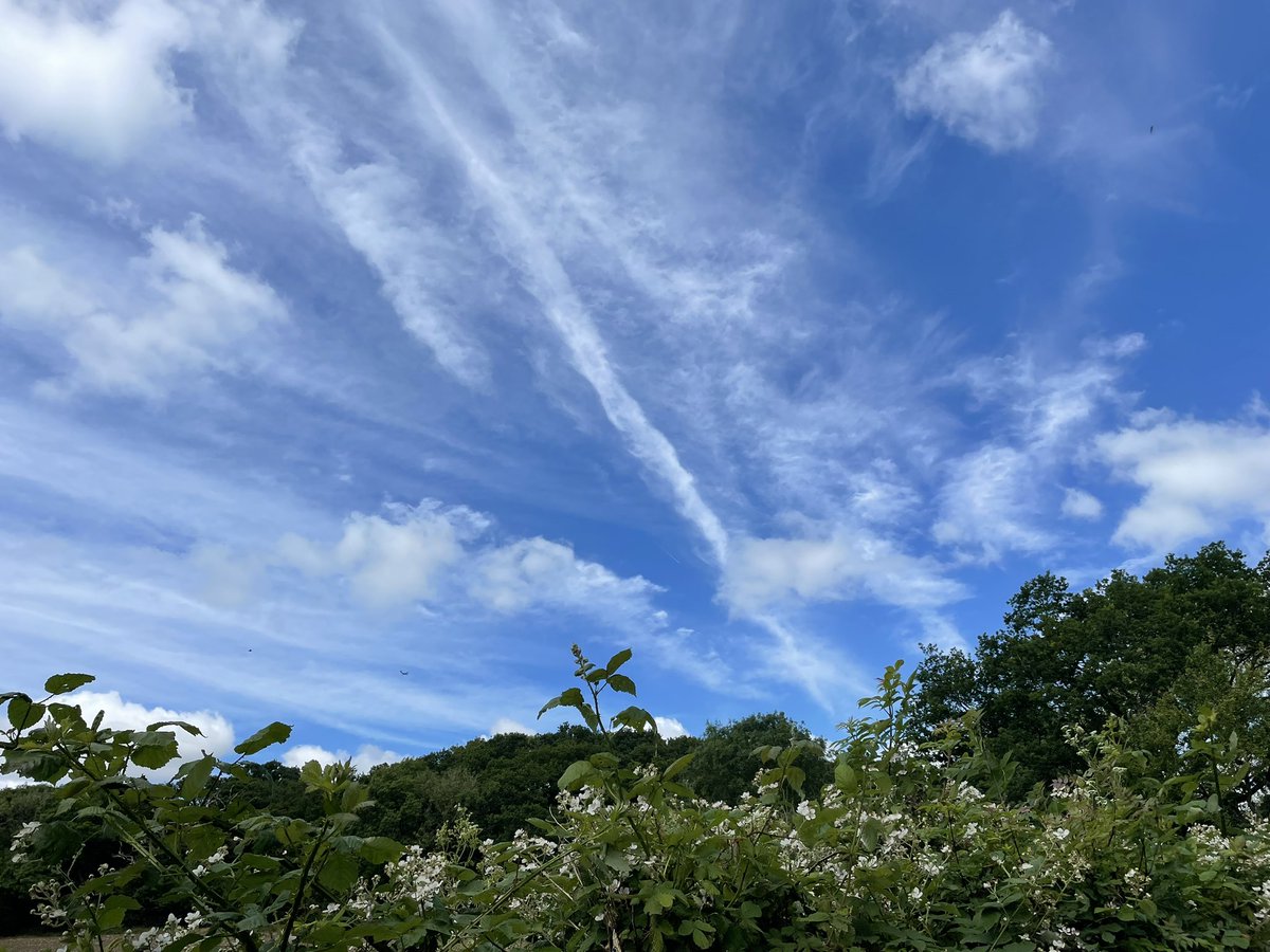 Linda Hull 🙋🏻‍♀️🧡 💙 tweet media