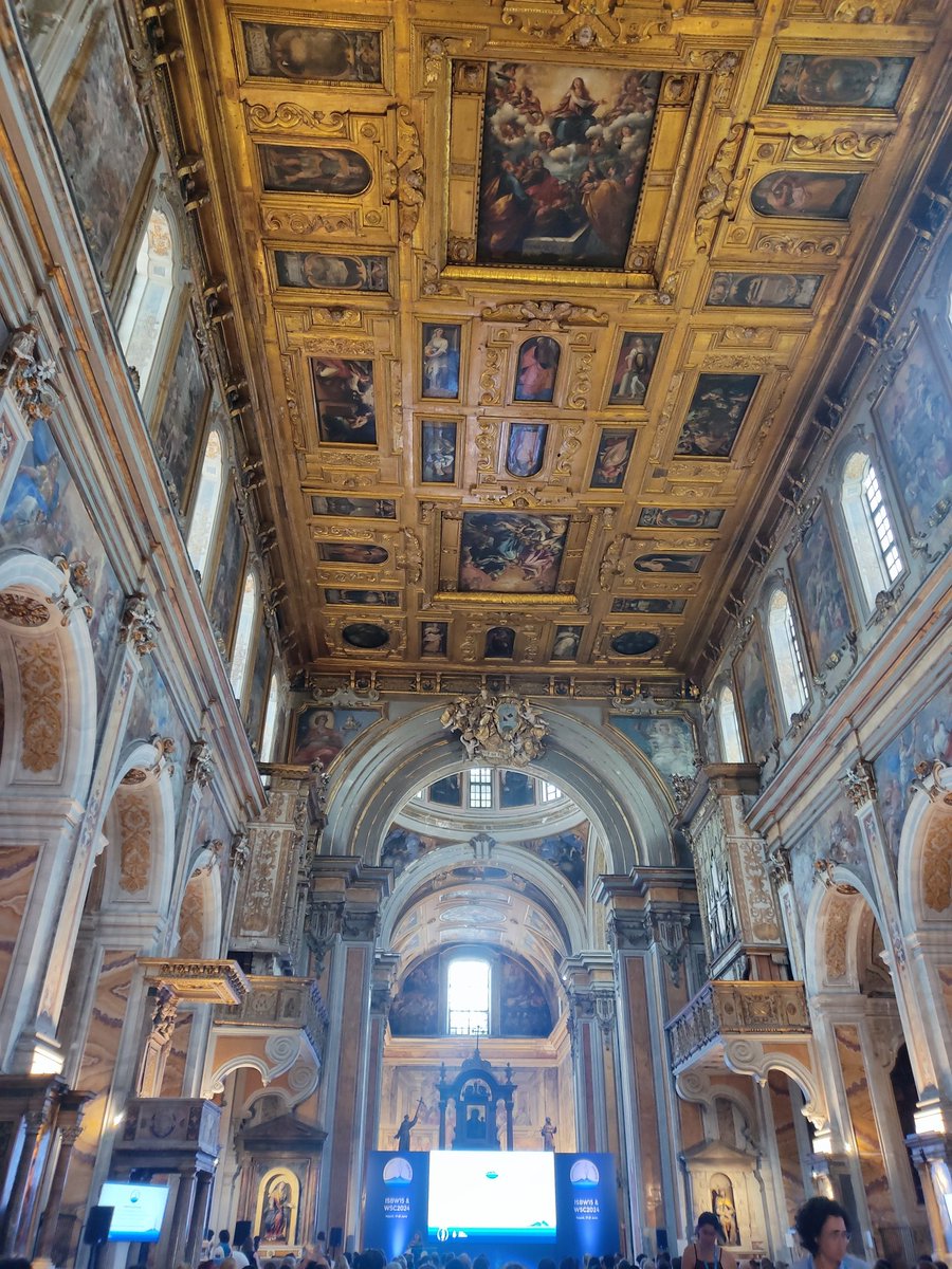 Thrilled to be presenting my work on the recovery of the nursery function in restored seagrass meadows later today in such an amazing venue in Naples #ISBW15 🌱🐟