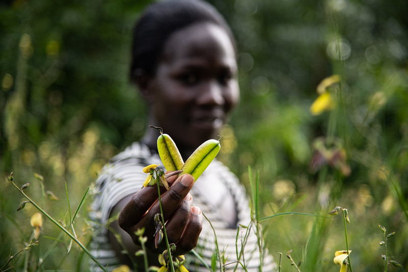 🌱 REMINDER: Calling all NARES, plant breeders &amp; farmers! 🌱

Passionate about #onfarm testing &amp; accelerating #foodsecurity in #Africa?

Get up to $20,000 to kick-off your project! Apply for our catalytic small grants by June 30th! ➡️ 1000farms.net