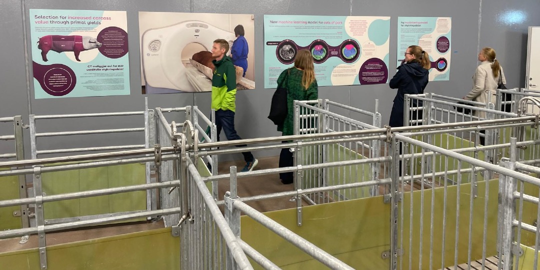 JSRFarmingGroup's tweet photo. JSR Genetics' Giles Christie was delighted to attend the official opening of Topigs Norsvin's brand new edition to their breeding infrastructure, Delta Norway.
https://t.co/yNmWehkS7T
#PigGenetics #BalancedBreeding #GeneticProgress @topigsnorsvin https://t.co/He5bllRP0G
