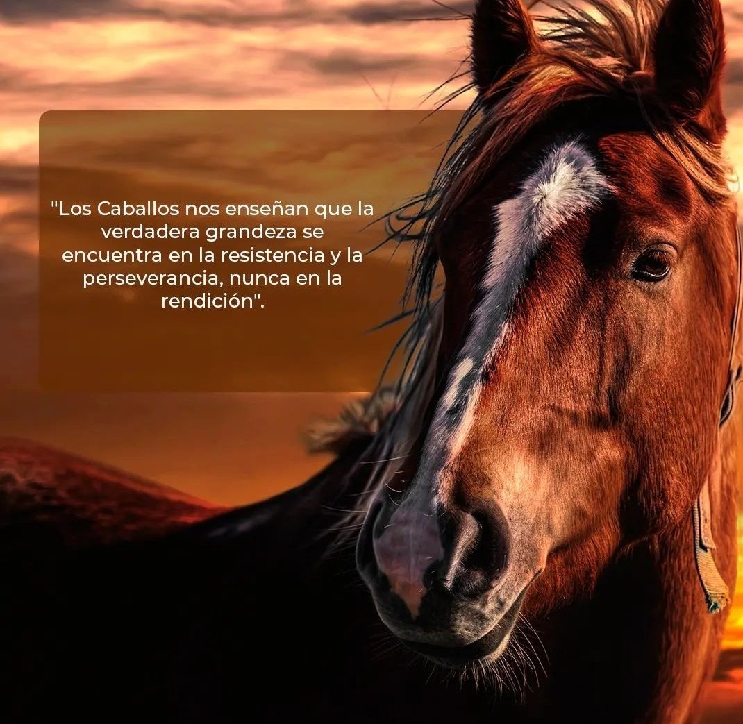 Muy buenos días 🌞☕☕