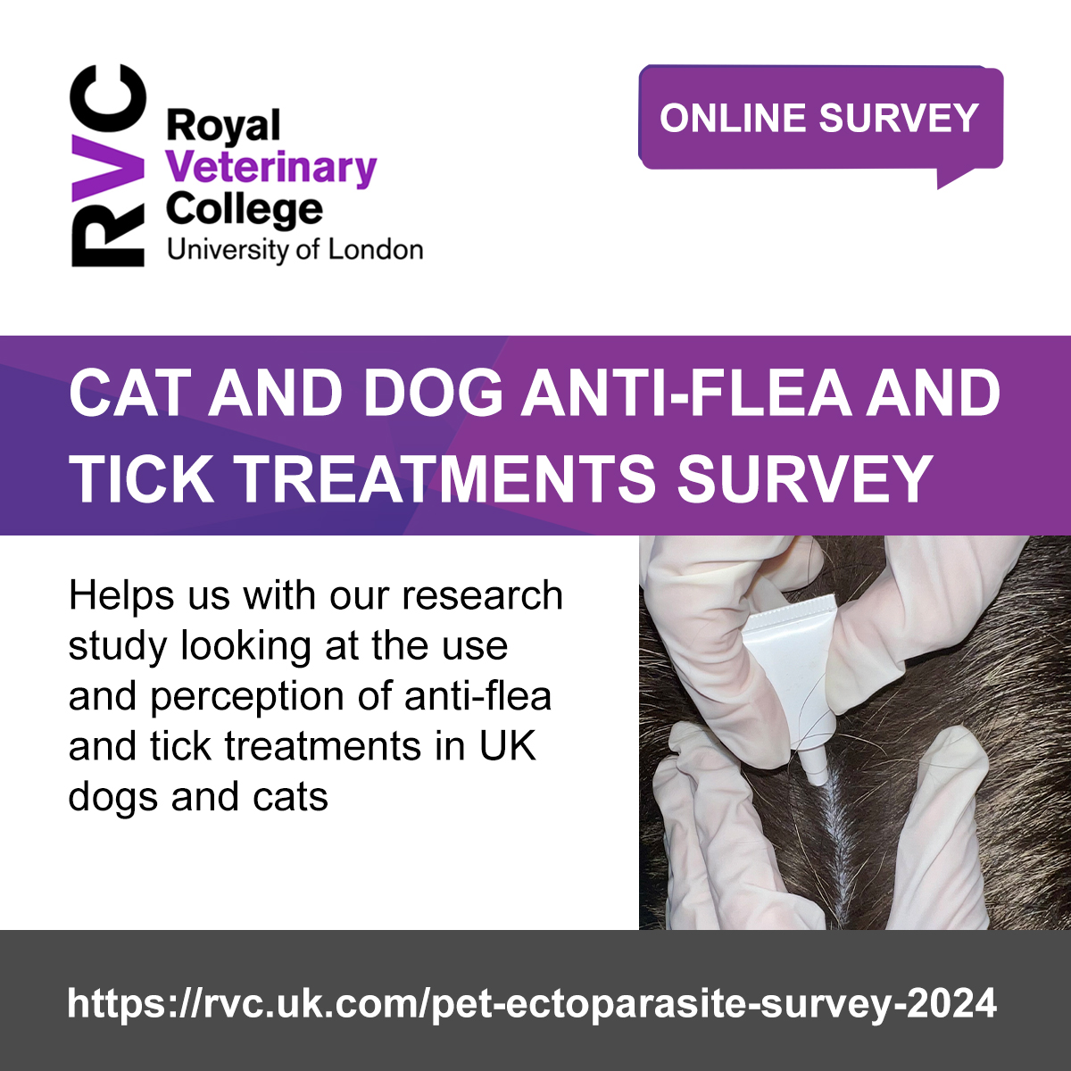 🐈🐕 Are you a UK cat or dog owner that treats your pet for fleas or ticks? Our RVC researchers need your help!  We are researching how pet owners use ‘spot on’ treatments.
⏲️ 10-minute anonymous survey
📅 Deadline: Midnight 10th July

➡️ Link: rvc.uk.com/pet-ectoparasi…
️