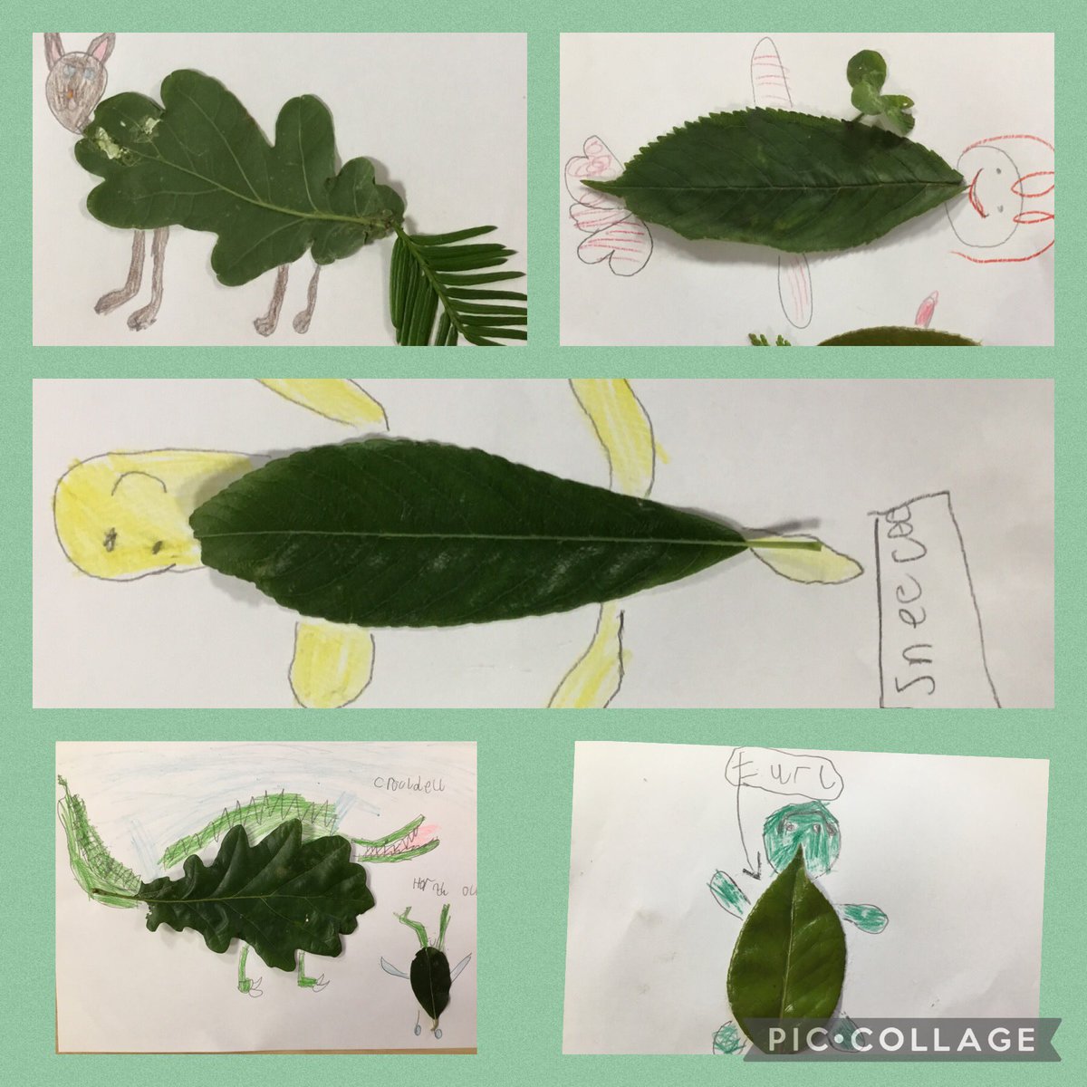CuddingtonPri's tweet photo. Sparrows have identified the leaves from different trees, then turned them into marvellous creatures. #cuddingtony1 #cuddingtonscience #cuddingtoneco @EcoSchools @createlearning_ https://t.co/GgqzH9oRVC