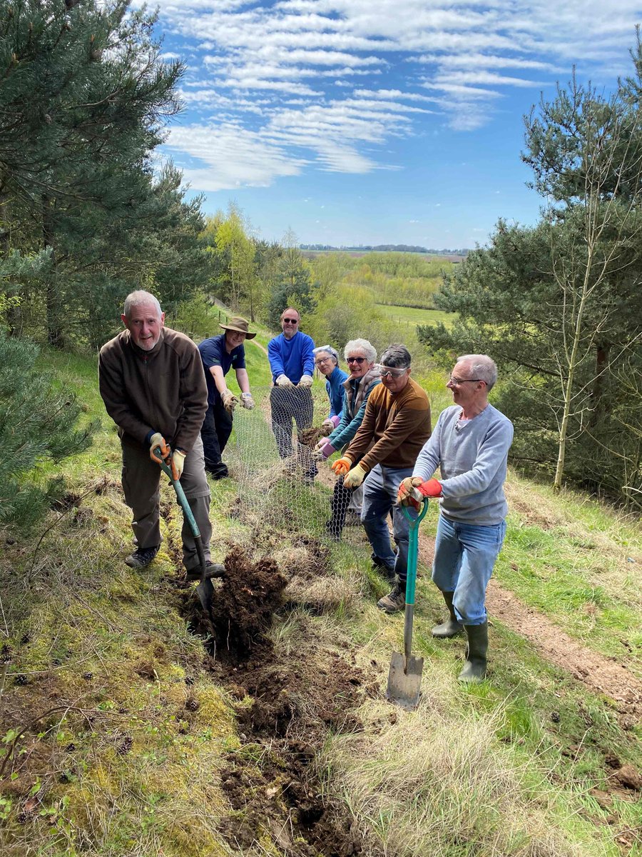 South Yorkshire Community Woodlands tweet media