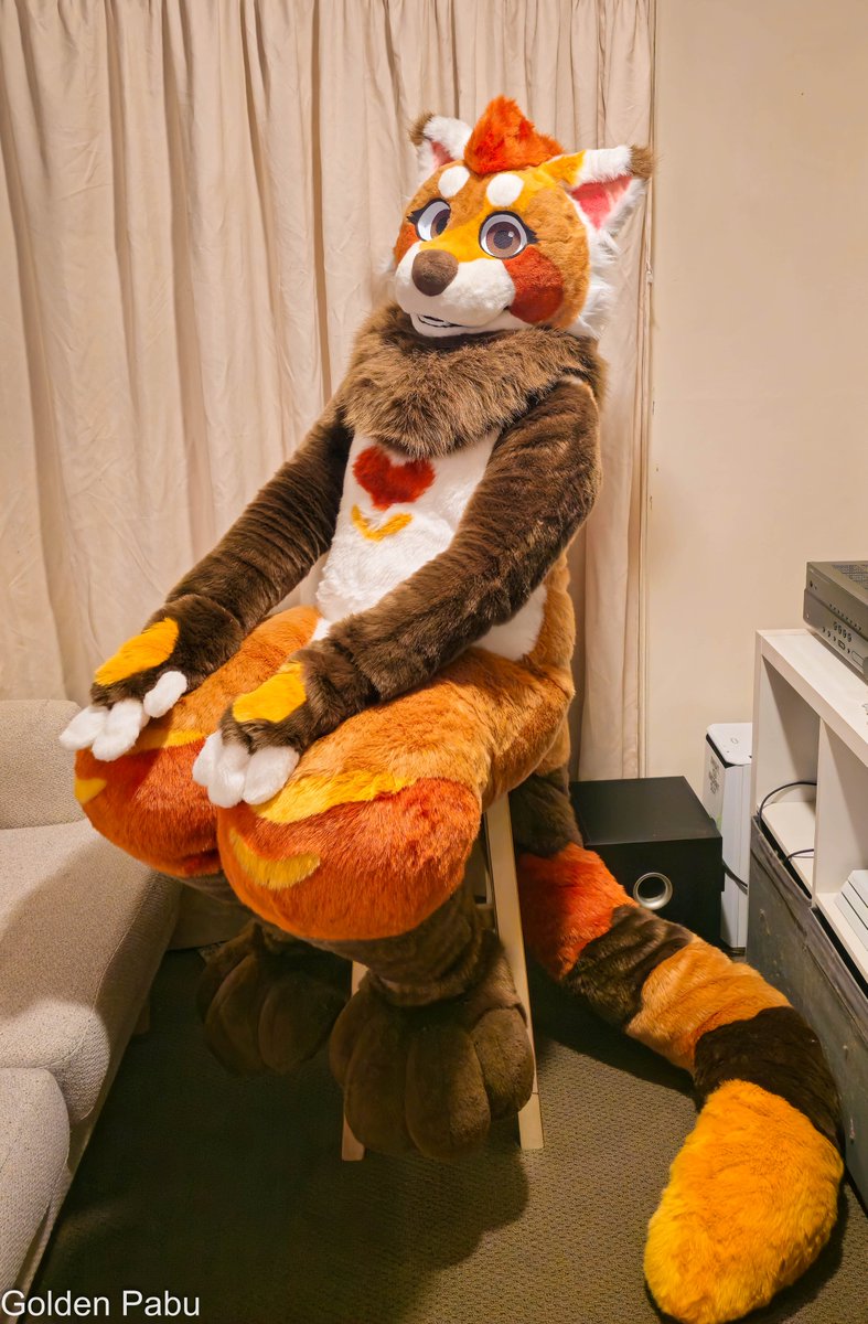 Pabu tweet media