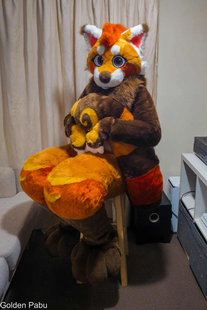 Pabu tweet media