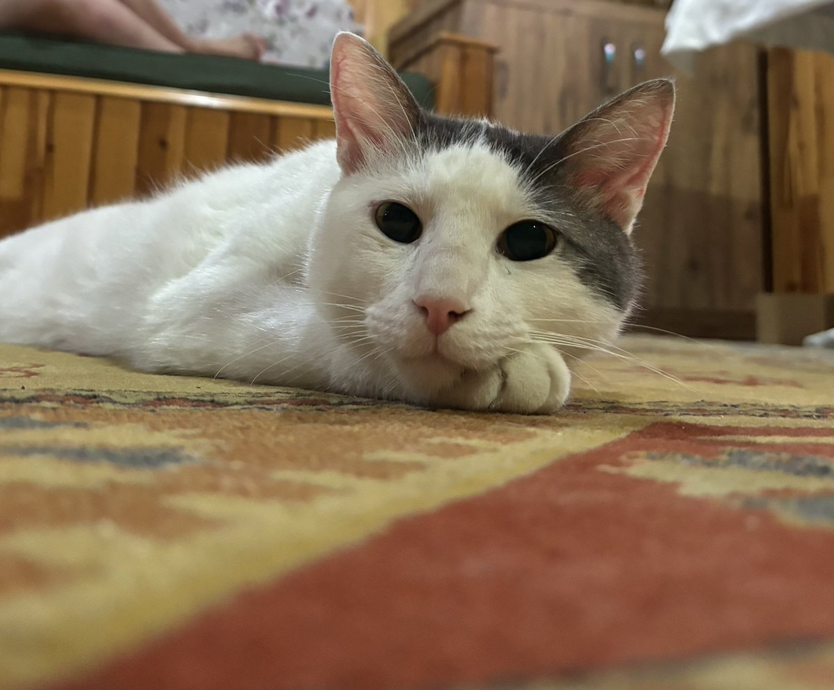 Sıcak çok sıcak 🥵