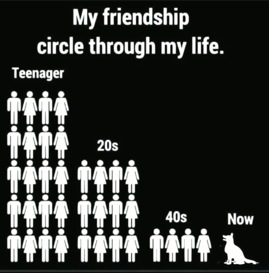 ccannonauthor's tweet image. #introvert #introvertissues #introvertlife #readers #writers #wednesday #friends