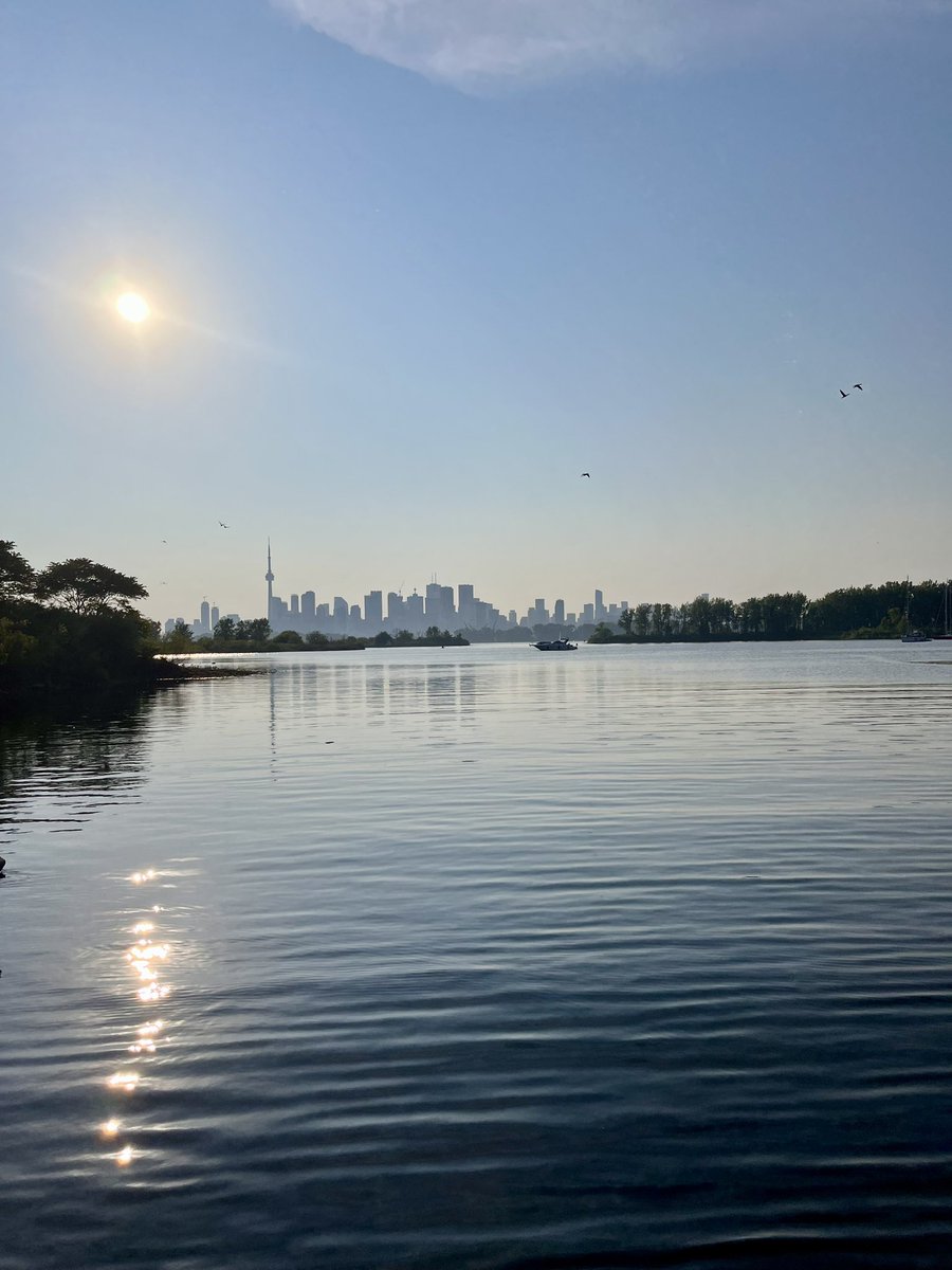 drCADuff's tweet image. Cycling around Tommy Thompson Park to beat the heat! Slowly getting back to cycling outdoors after a driver hit me in a cycle lane 8 months ago. A mild concussion and some bruises, but it’s the anxiety that lingers. So thankful for this view!