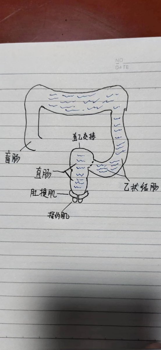 哈哈哈哈，灌肠技巧，来学