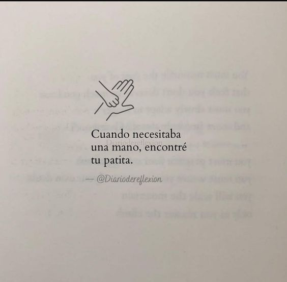 Patricia De Jesus (@dejesuspatri) on Twitter photo 