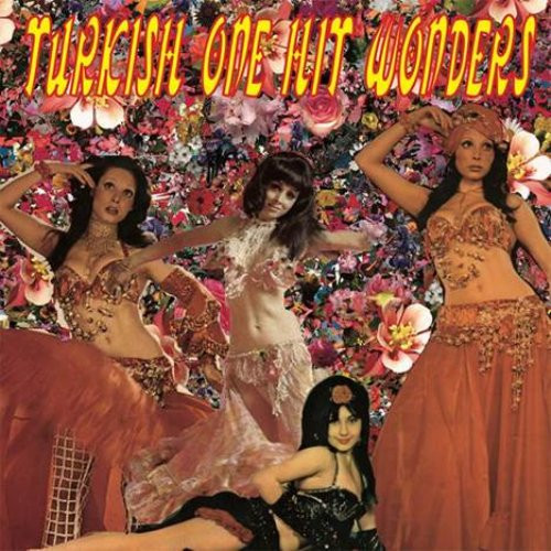 sunnyboy_66's tweet photo. Various – Turkish One Hit Wonders 60's 70's Anatolian Psych Rock Funk Music Album Compilation LP 🇹🇷
ACE!!!!!!
Enjoy on sunnyboy66 Youtube channel : https://t.co/sgRB1o2T8f
#sunnyboy66 #turkish #turkishmusic #turkishfunk #turkey #turkeymusic #turkeyfunk #turkishpsych #turkish https://t.co/oMtwwF33zJ