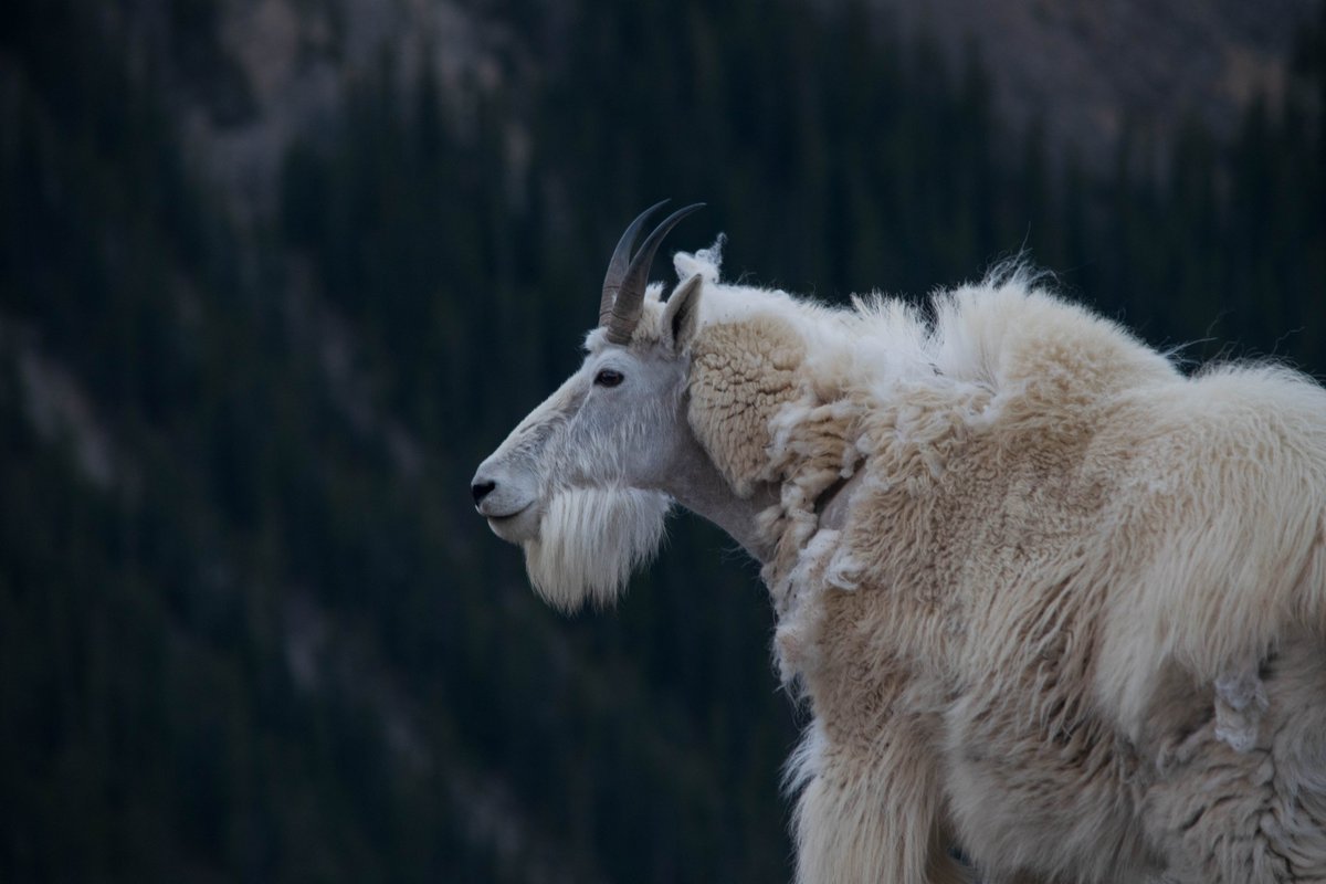 Took a picture the other day