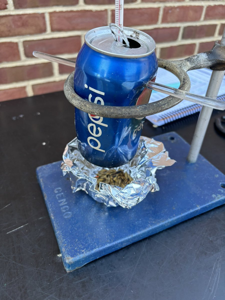 Day 3 of CASE Animal Science! We started the day calculating the energy content in feed by doing calorimetry!!  #PSUCase24