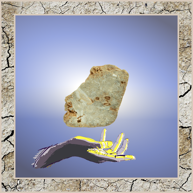 🪨 Rock #175 🪨

Buyer: 0xd64f👀
Price: 0.025 ETH 🔥
Seller: 0xb078

opensea.io/assets/ethereu…