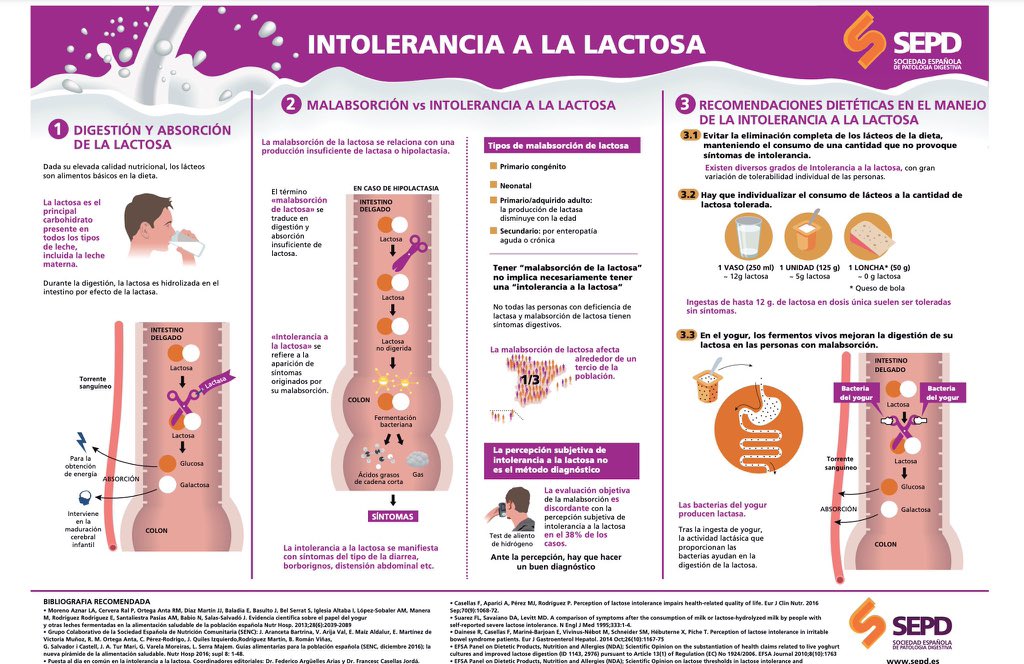 Infografía muy útil para toda la población sobre intolerancia a la lactosa.