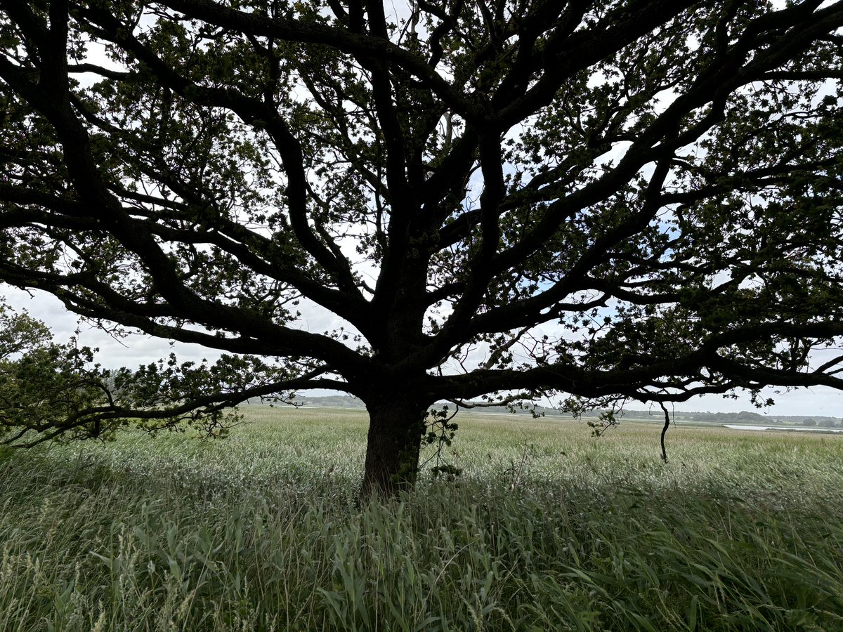 Back from a fab weekend with my lovely fam in Suffolk. Ok the weather pulled bit of a shocker which curtailed outdoor plans a bit, but just spending time with those I hold dearest in the world is truly special. ☺️