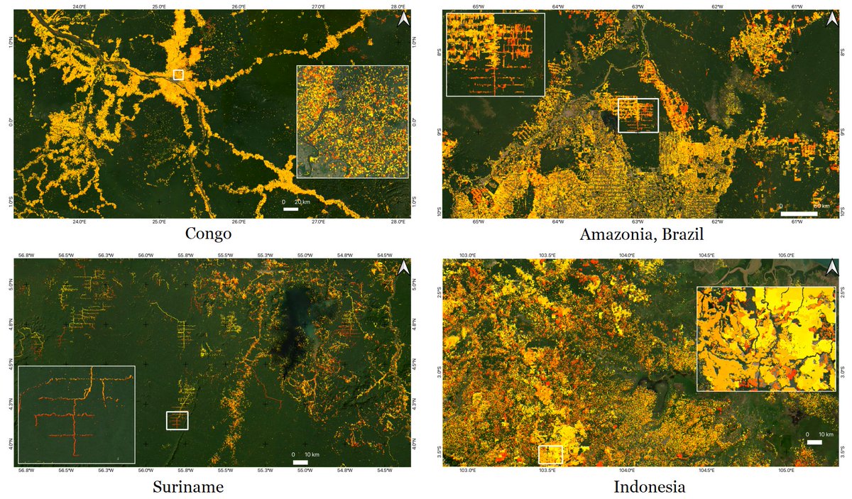 🛰 🔥Compartilhando o novo paper liderado pelo  <a href="/DrAdugna/">Adugna G. Mullissa</a> apresentando o LUCA - primeiro sistema GLOBAL de monitoramento florestal do <a href="/CTrees_org/">CTrees</a> 

Highlight áreas de florestas tropicais 🌳🪓

Link do paper: doi.org/10.3390/rs1612…
Link da plataforma LUCA: ctrees.org/products/luca/…