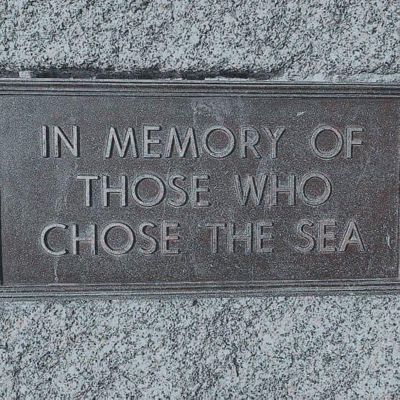 ❤️💚🖤🕊️