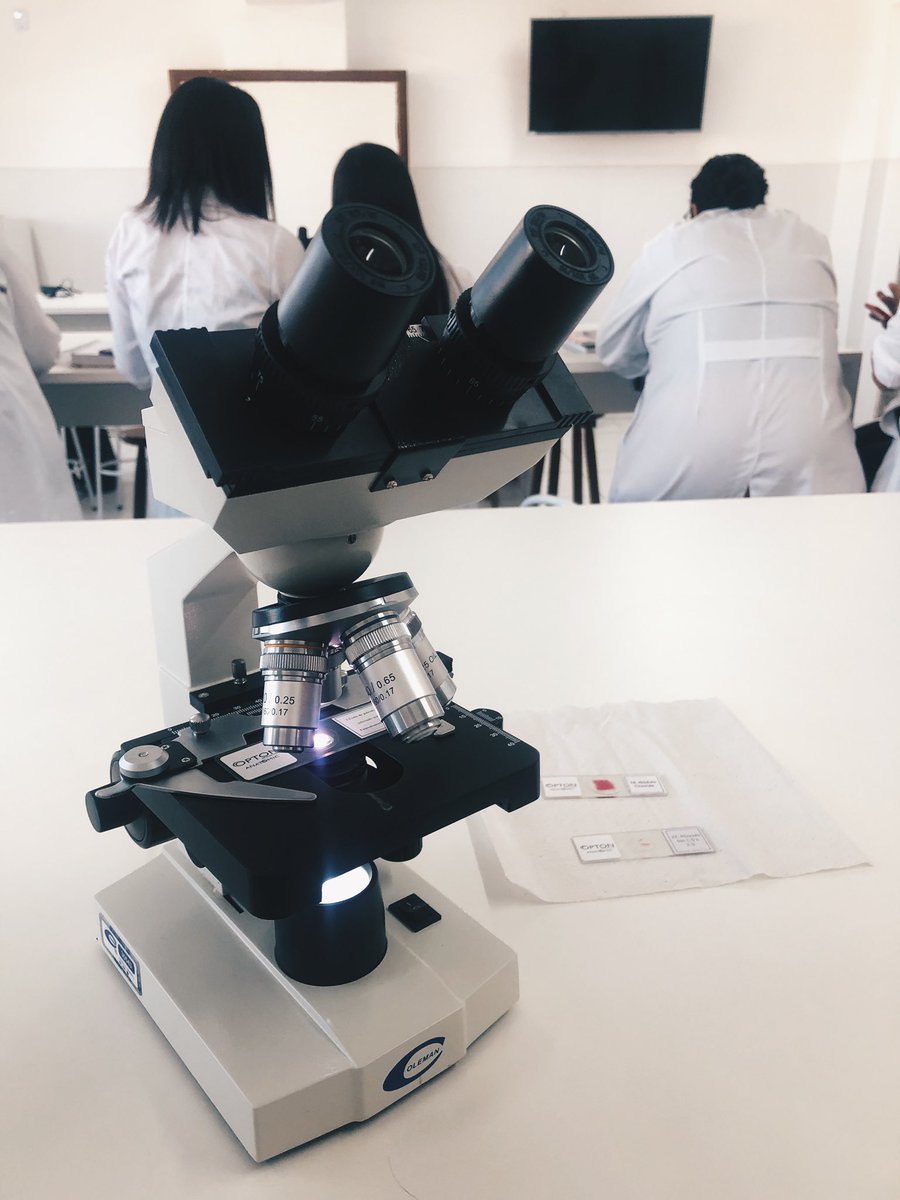 2005studies's tweet image. registros da minha primeira aula em laboratório 🔬🧫