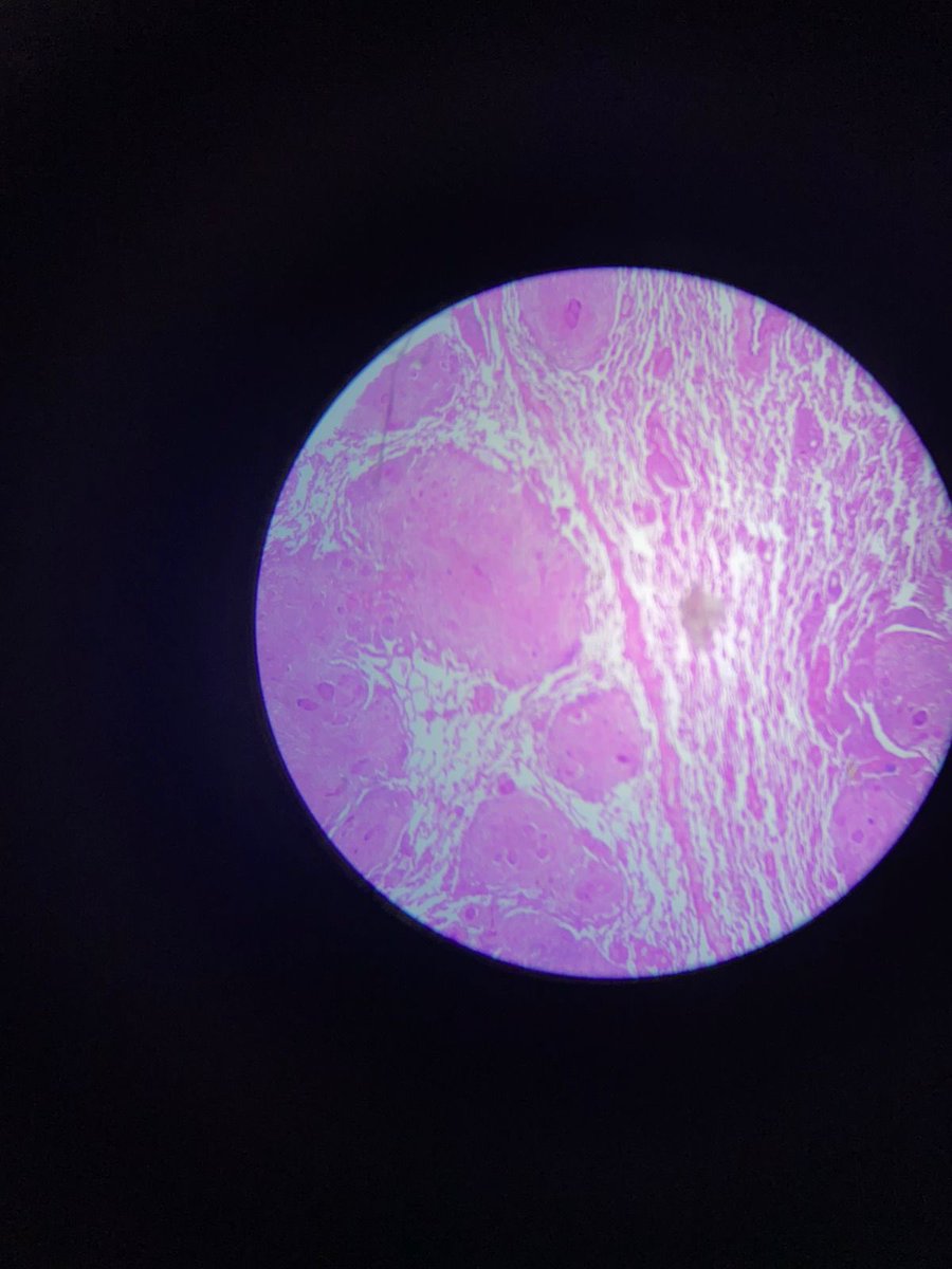 2005studies's tweet image. registros da minha primeira aula em laboratório 🔬🧫