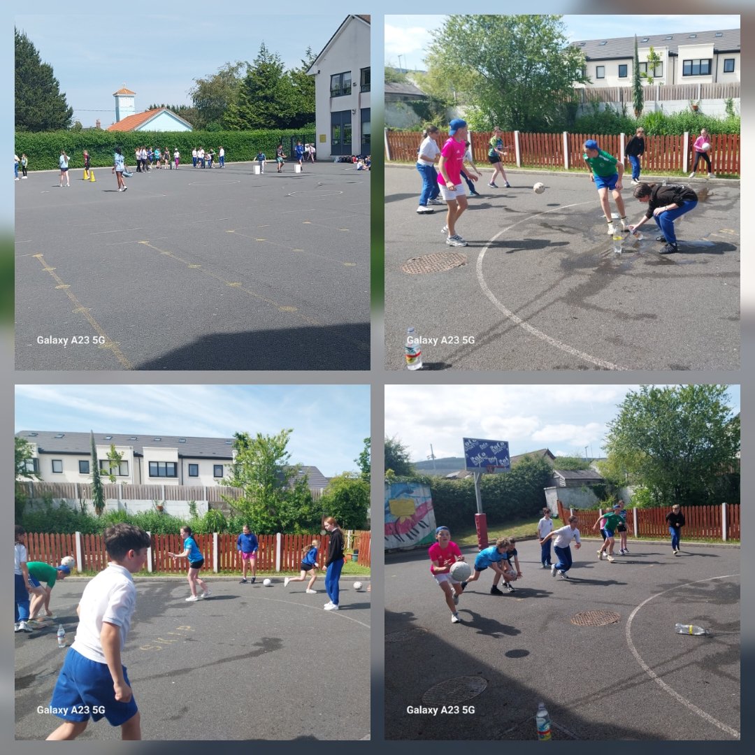 Our Lady of The Wayside tweet media