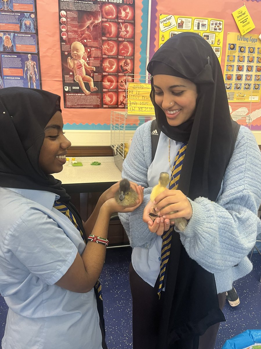 Mrs Dickson tweet media